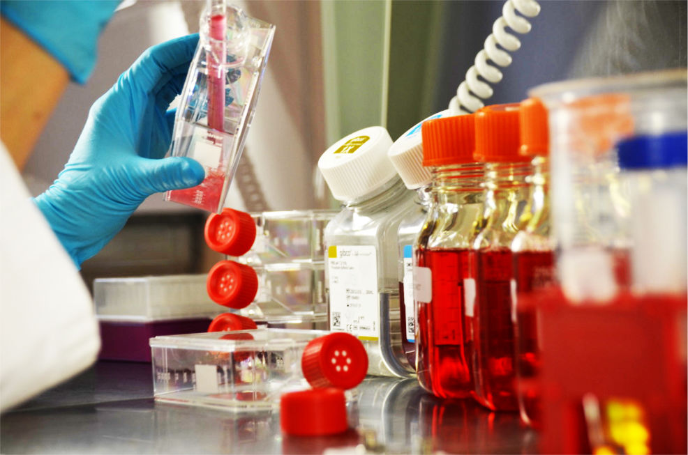 hero cortalix Cell culture laboratory work at Cortalix
