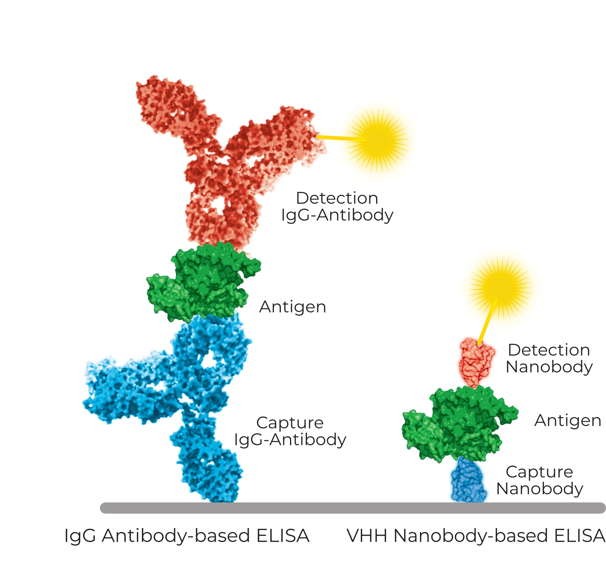 ELISA made by VHH nanobodies